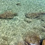 公寓 Relax Due Passi Dal Mare 斯帕达福拉